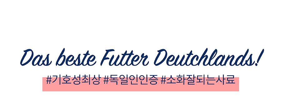 해피캣 엔테 (300g/1kg/4kg/300g*6)-상품이미지-0