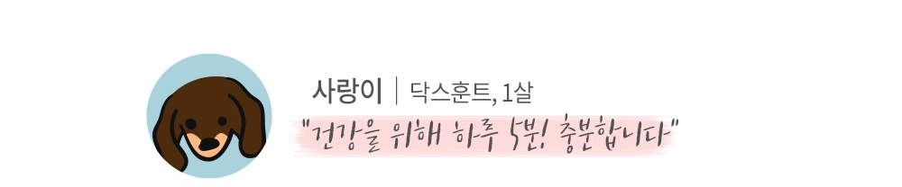 반려견 운동기구 튼튼짐볼+홀더 (단품/세트)-상품이미지-20