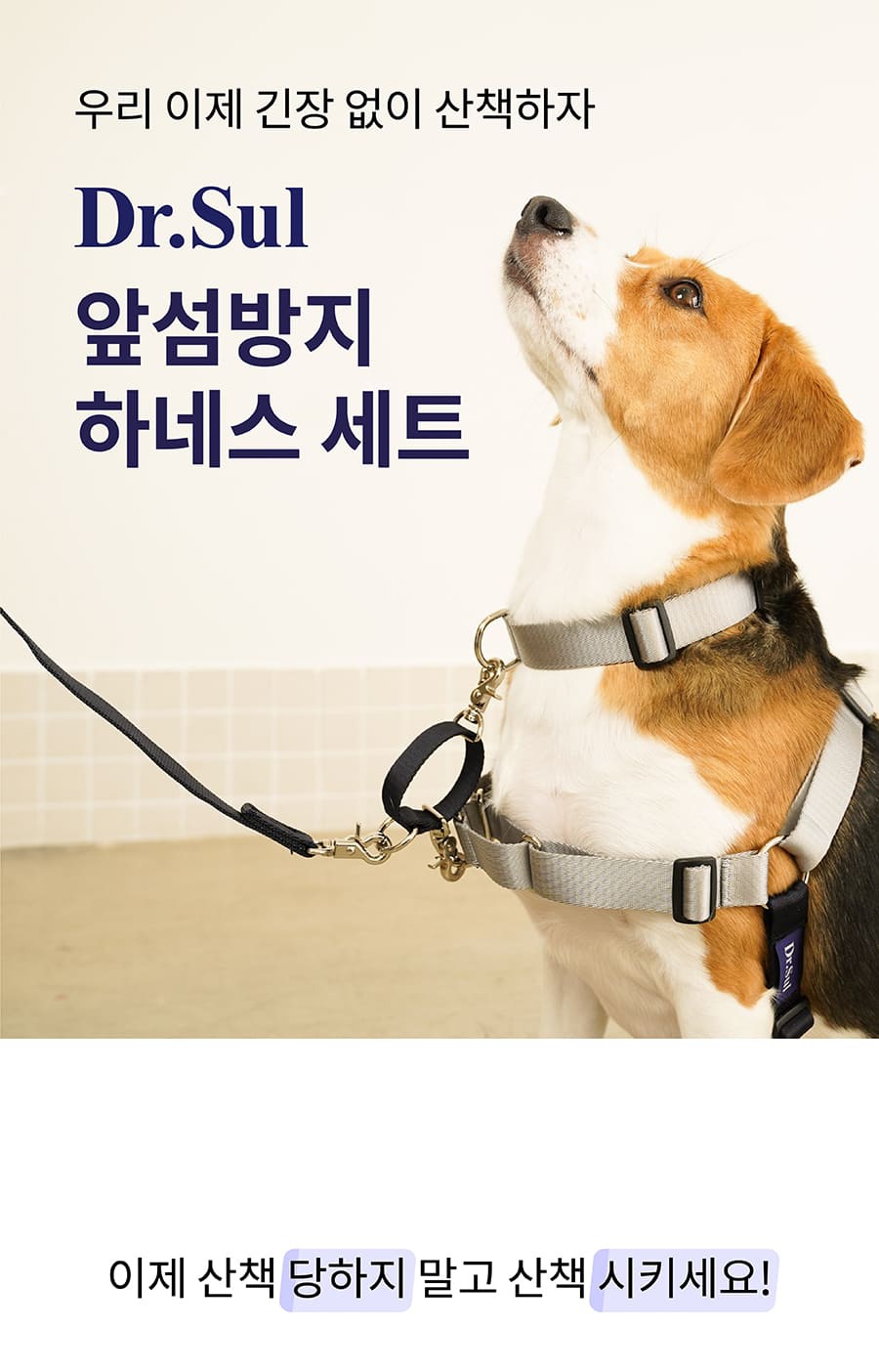 닥터설 앞섬방지 하네스 세트-상품이미지-0