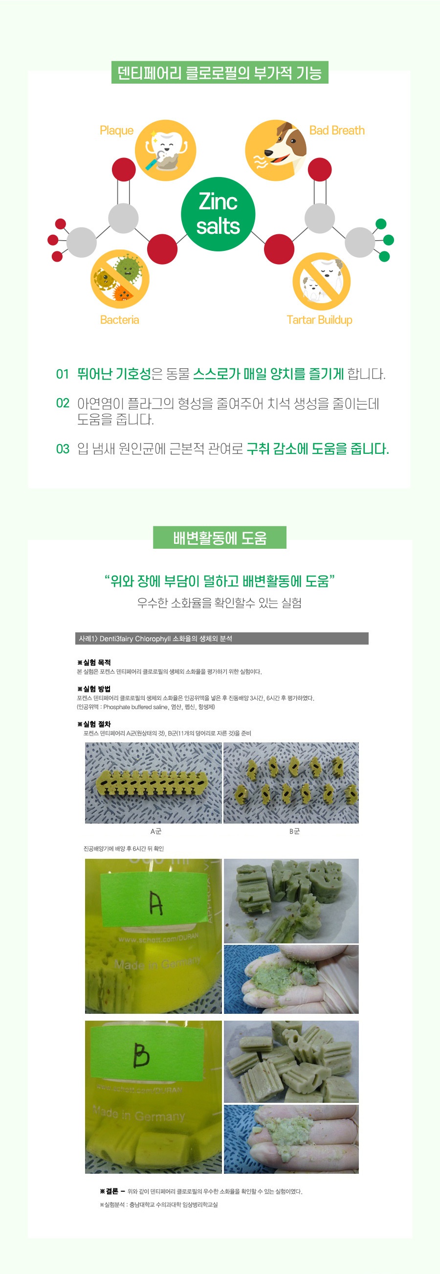 덴티페어리 클로로필 M 대용량 (34P)-상품이미지-13