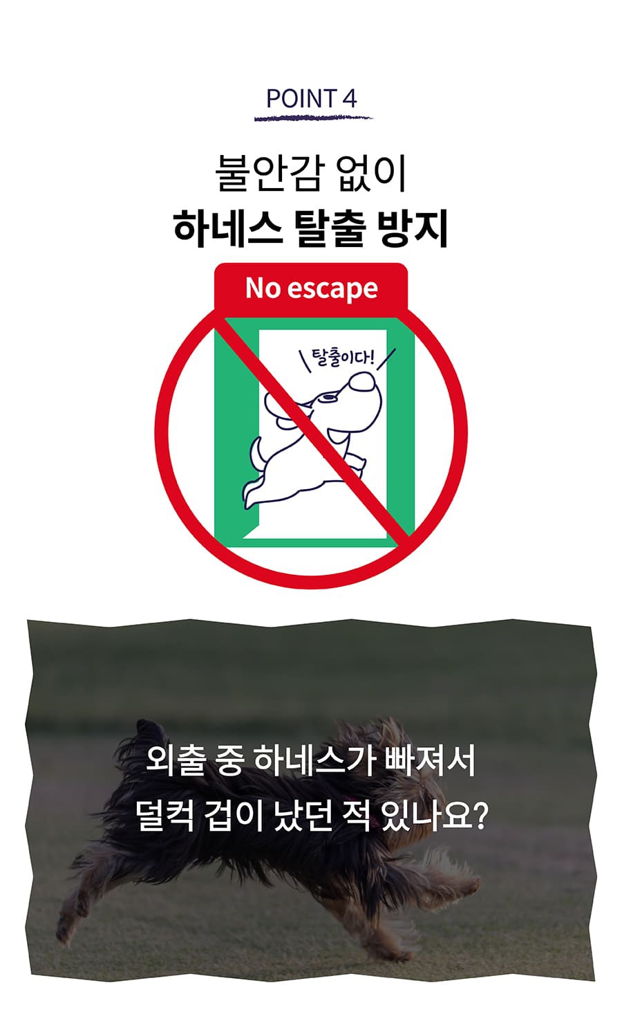 닥터설 앞섬방지 하네스 세트-상품이미지-18